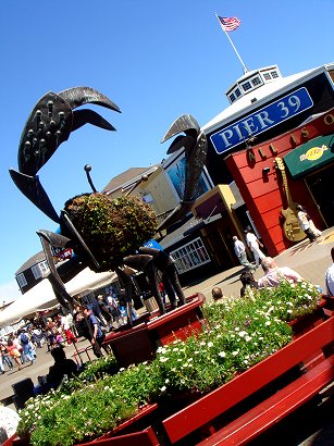 Pier 39 in San Francsico