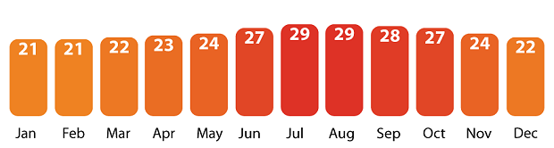 yearly weather temperatures in Tenerife, Canary Islands.