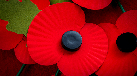 Poppy appeal