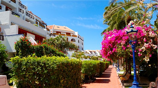 Beautiful scenery in Tenerife