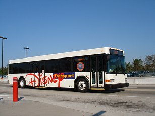 Disney bus